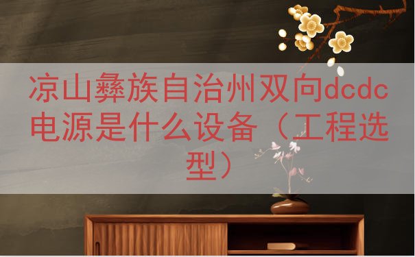 凉山彝族自治州双向dcdc电源是什么设备（工程选型）